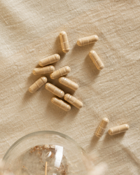 Pureness Mjölksyrabakterier 30 md - 60 kapslar