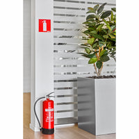 Nexa Brandsläckare Röd 6kg 55A