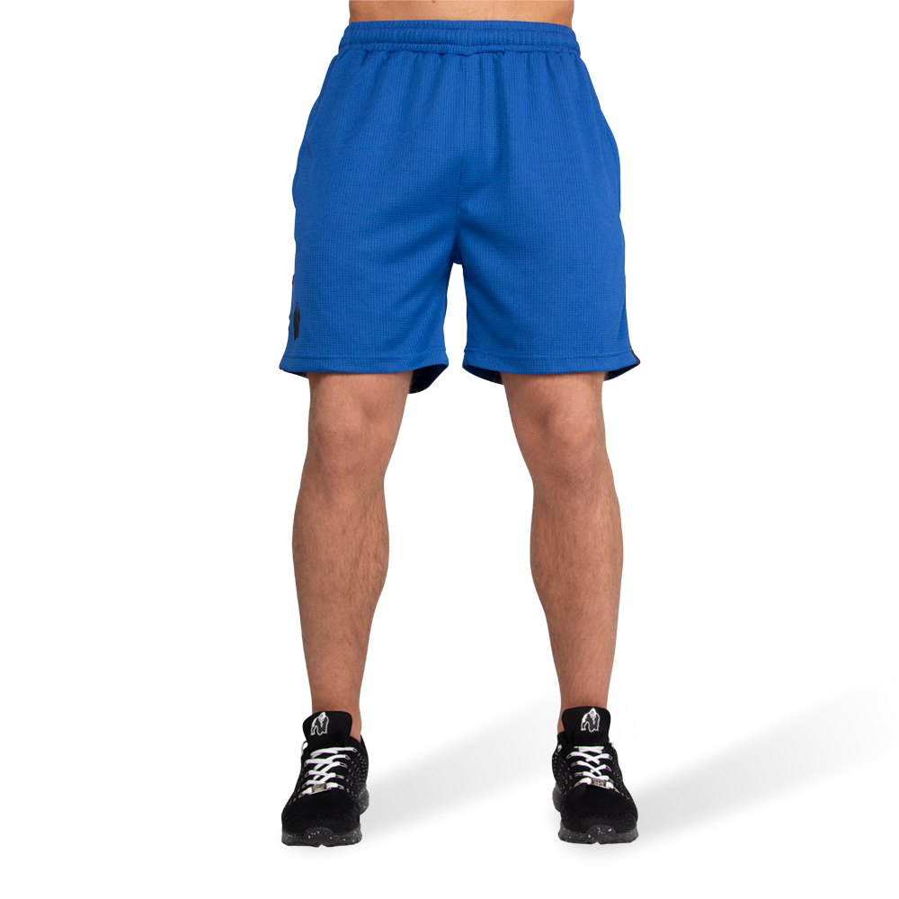 Gorilla Wear Reydon Mesh Shorts, blue