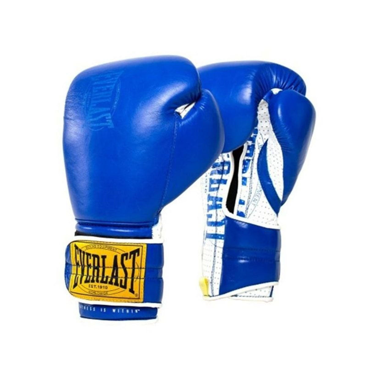Everlast 1910 Sparring H&L Glove Blue