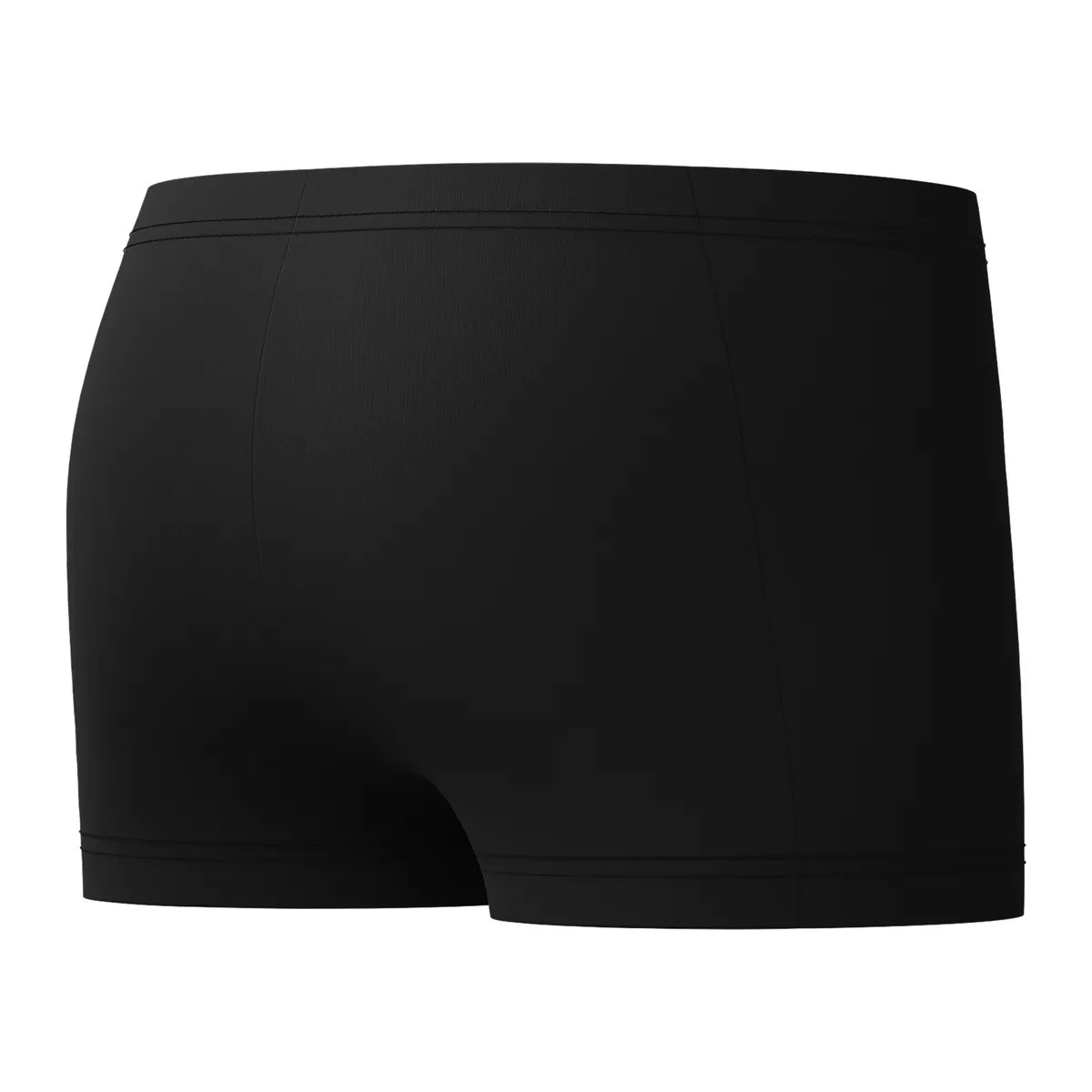 Speedo Boys Plastisol Placement Aquashort Blue