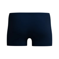 Speedo Mens Medley Logo Aquashort Blue