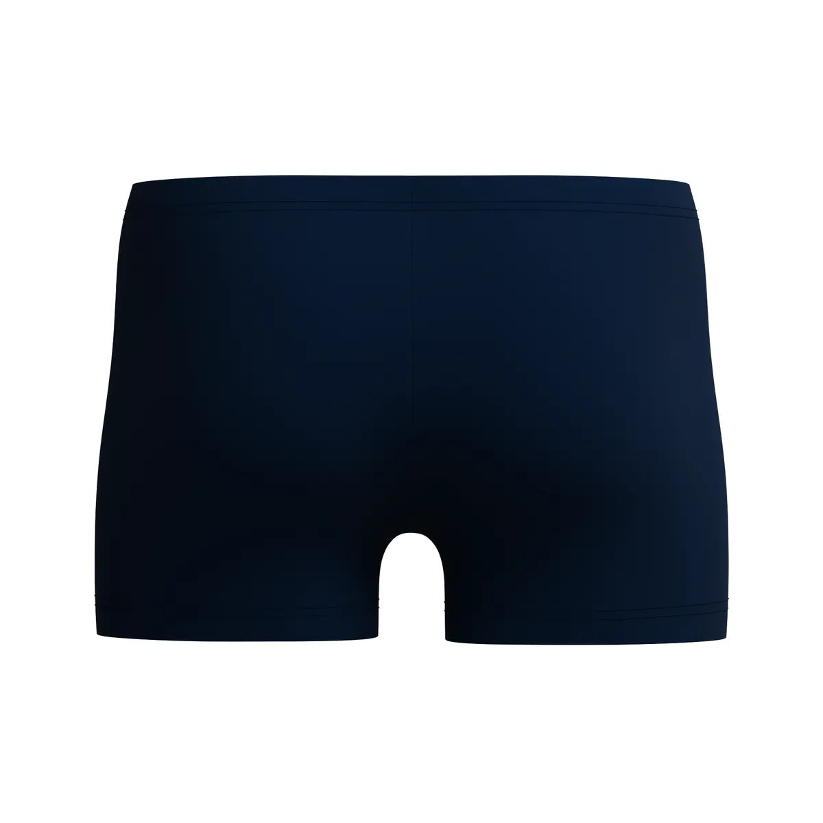 Speedo Mens Medley Logo Aquashort Blue