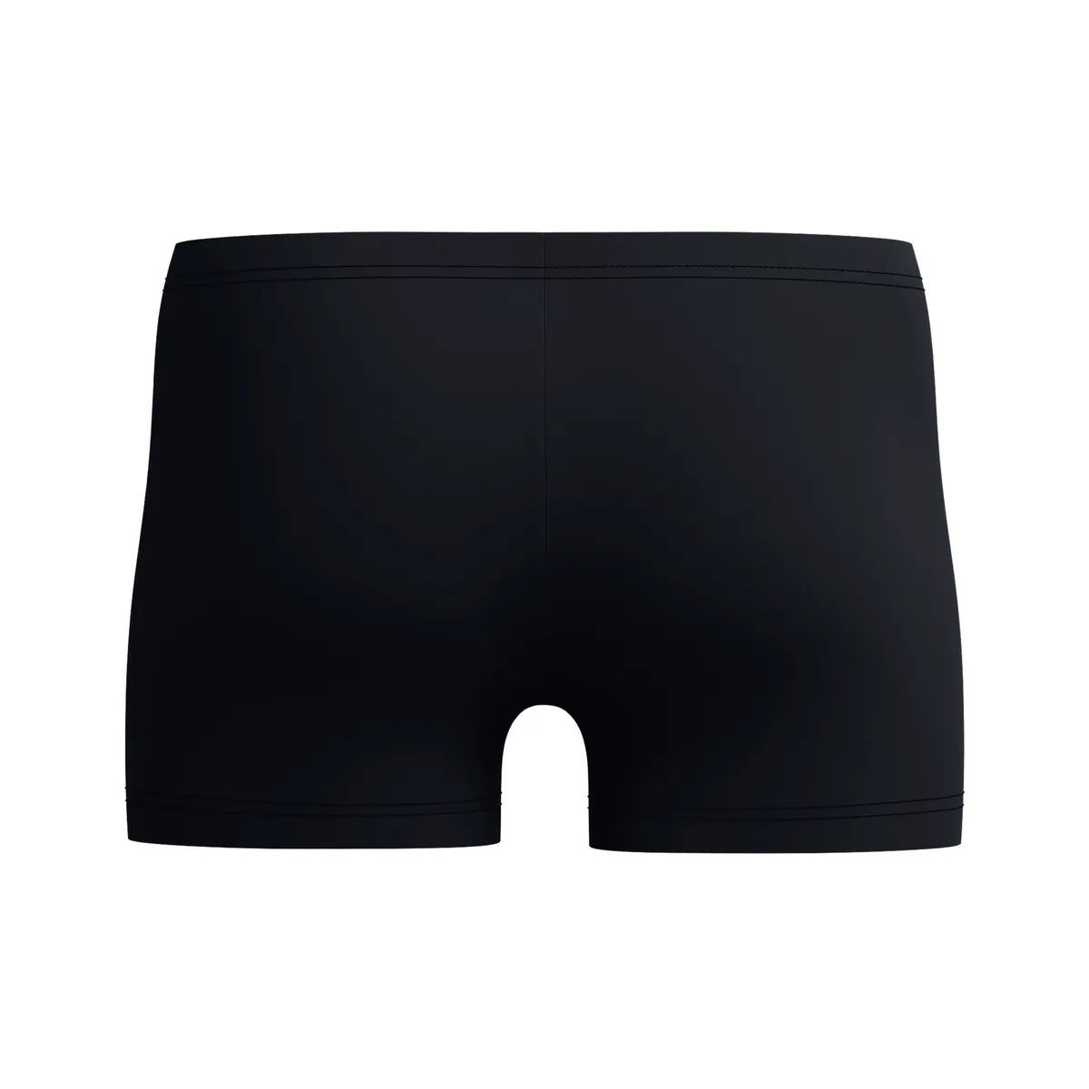 Speedo Mens Medley Logo Aquashort Blue