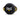 Everlast Punch Shield