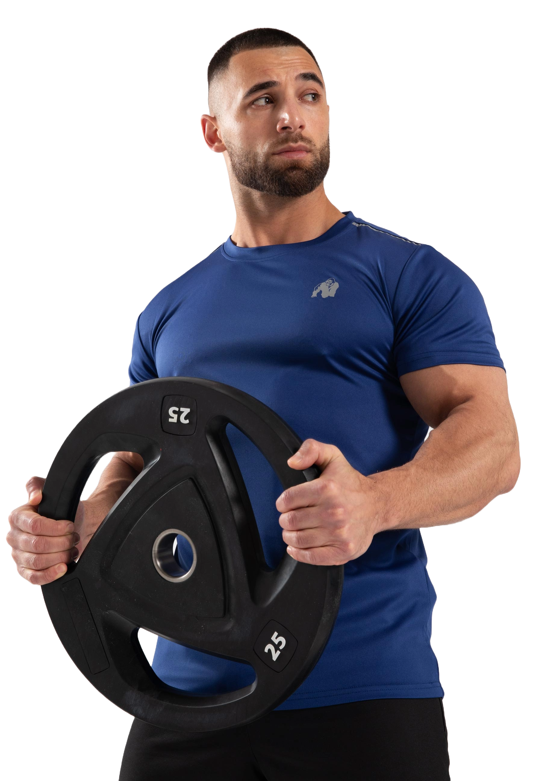 Gorilla Wear Easton T-Shirt, blue