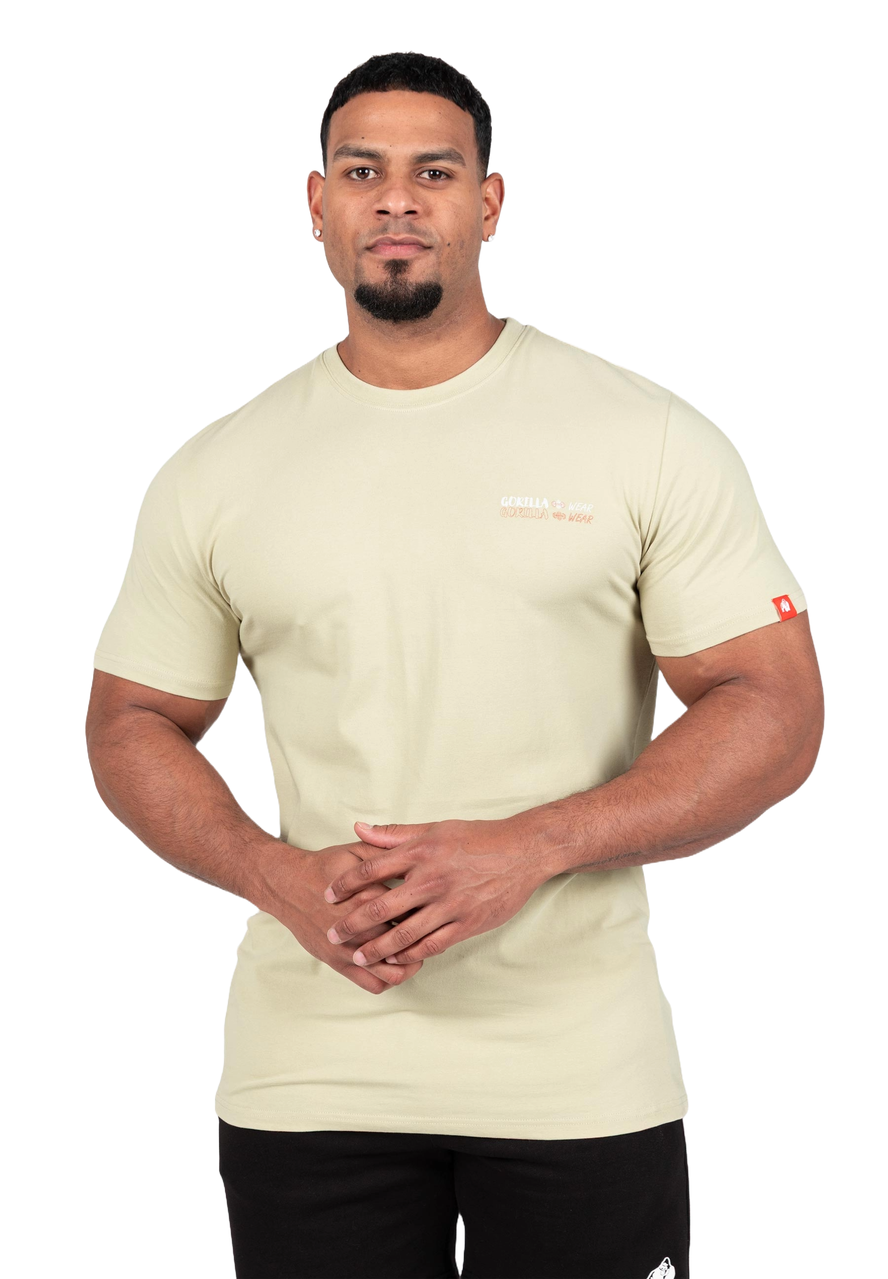 Gorilla Wear Santa Cruz T-Shirt, light green