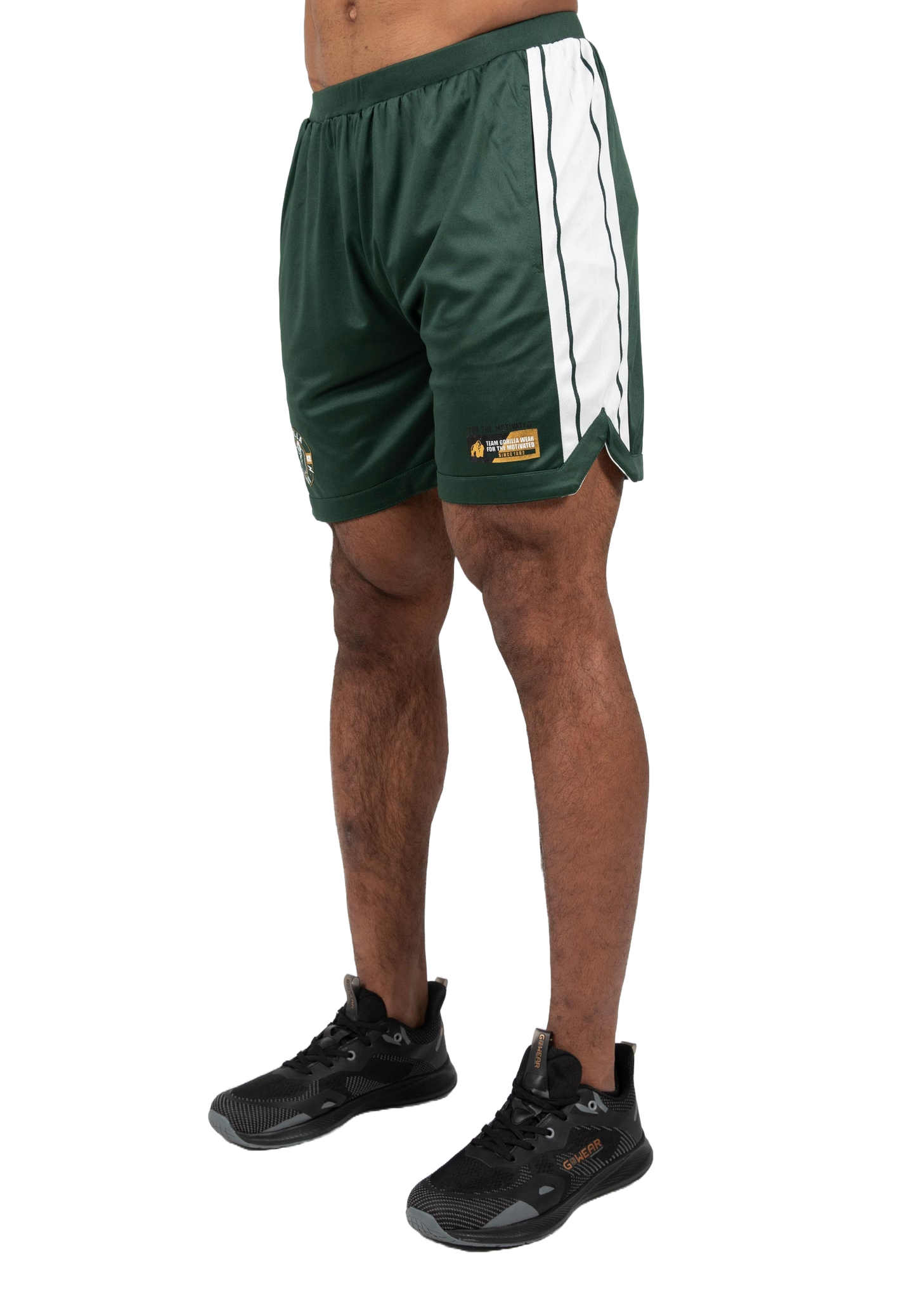 Gorilla Wear Orlando Shorts, green
