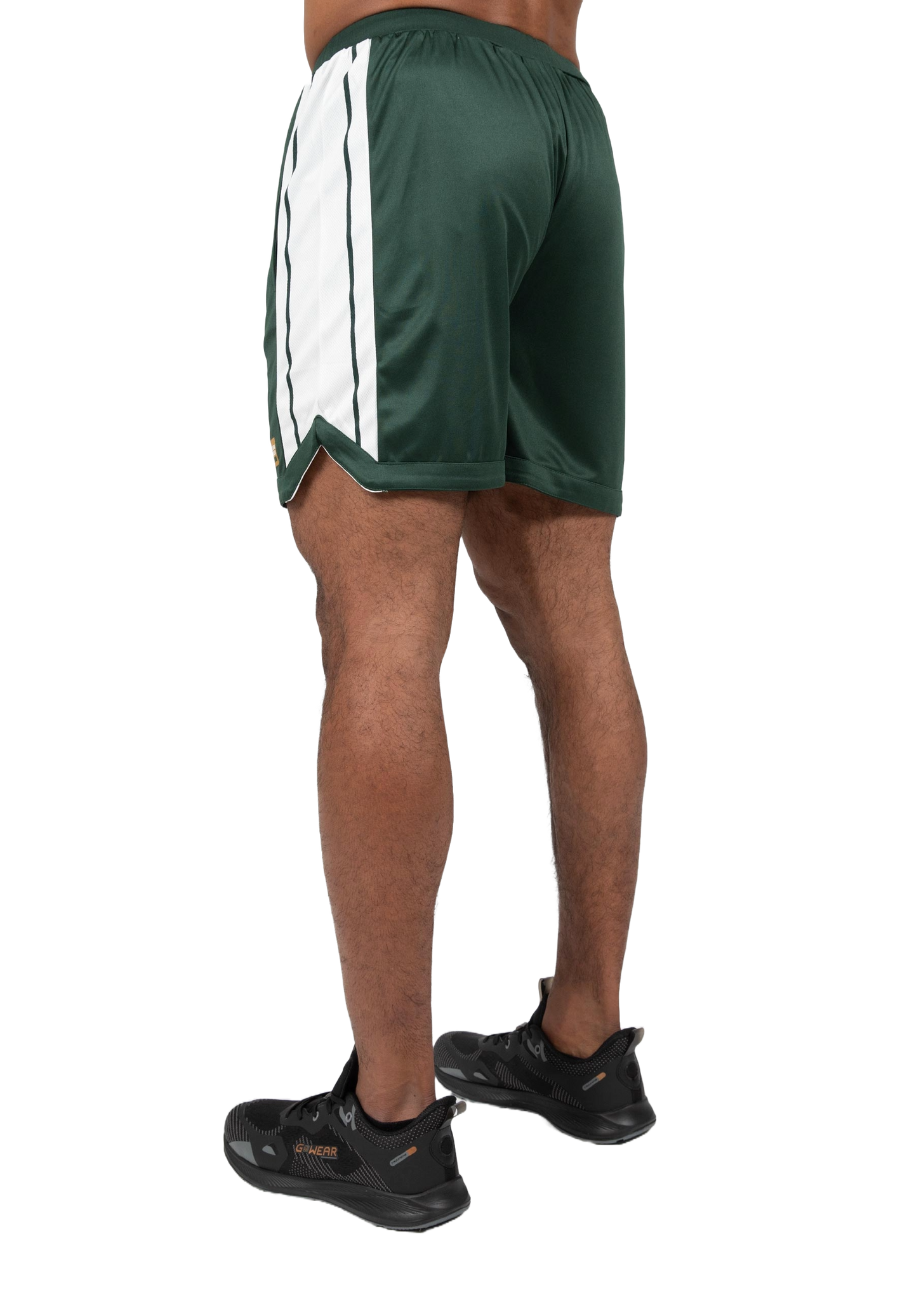 Gorilla Wear Orlando Shorts, green