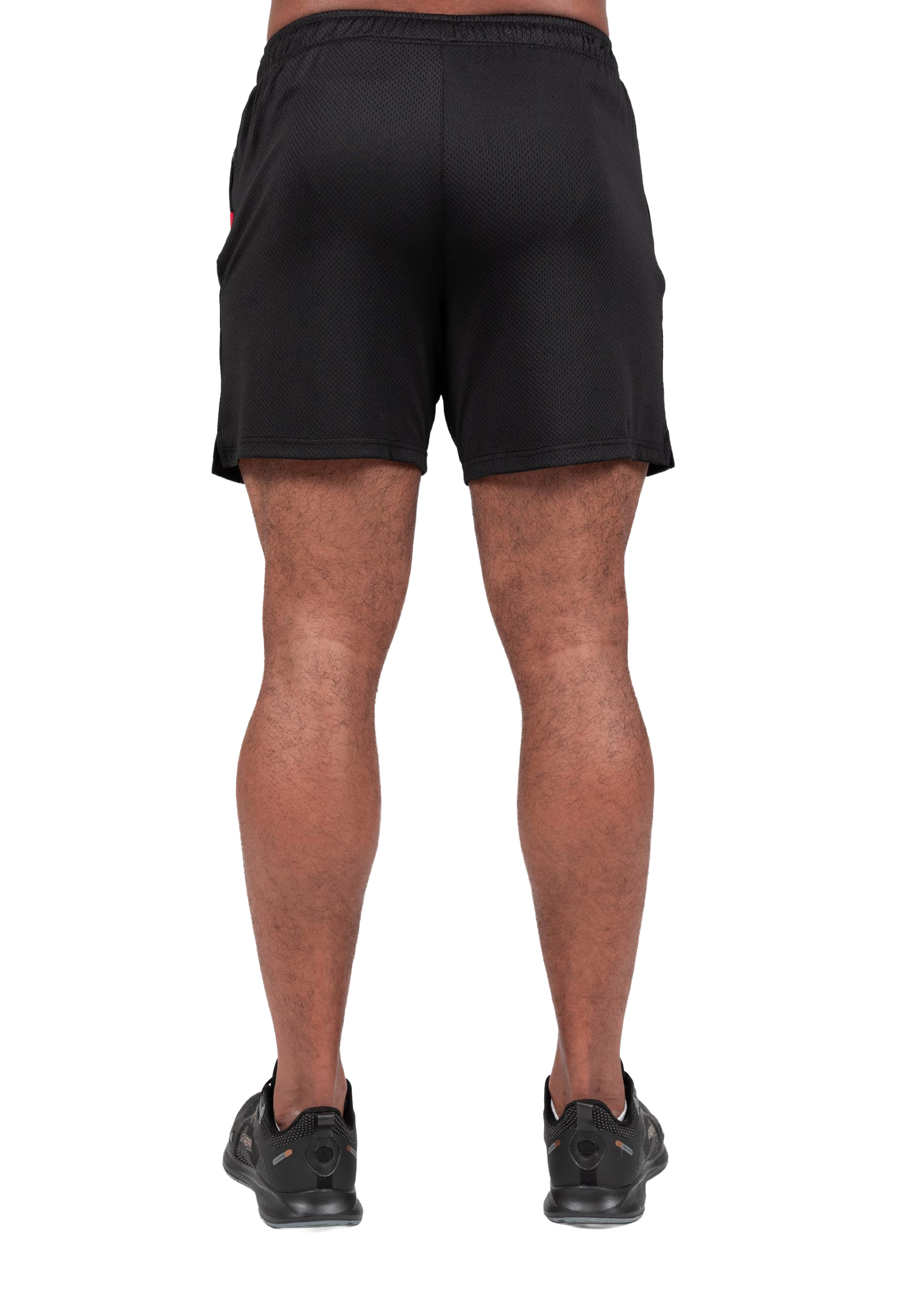 Gorilla Wear Miles Mesh Shorts, black