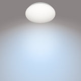 Philips CL200 Plafond 250mm 10W 1100lm 4000K Kallvitt