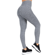 Gorilla Wear Quincy Seamless Leggings, grey melange