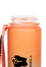 Gorilla Wear Gradient Water Bottle, green/orange