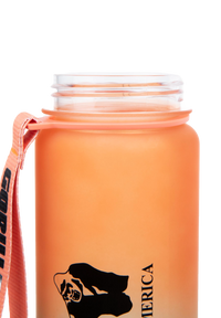 Gorilla Wear Gradient Water Bottle, green/orange