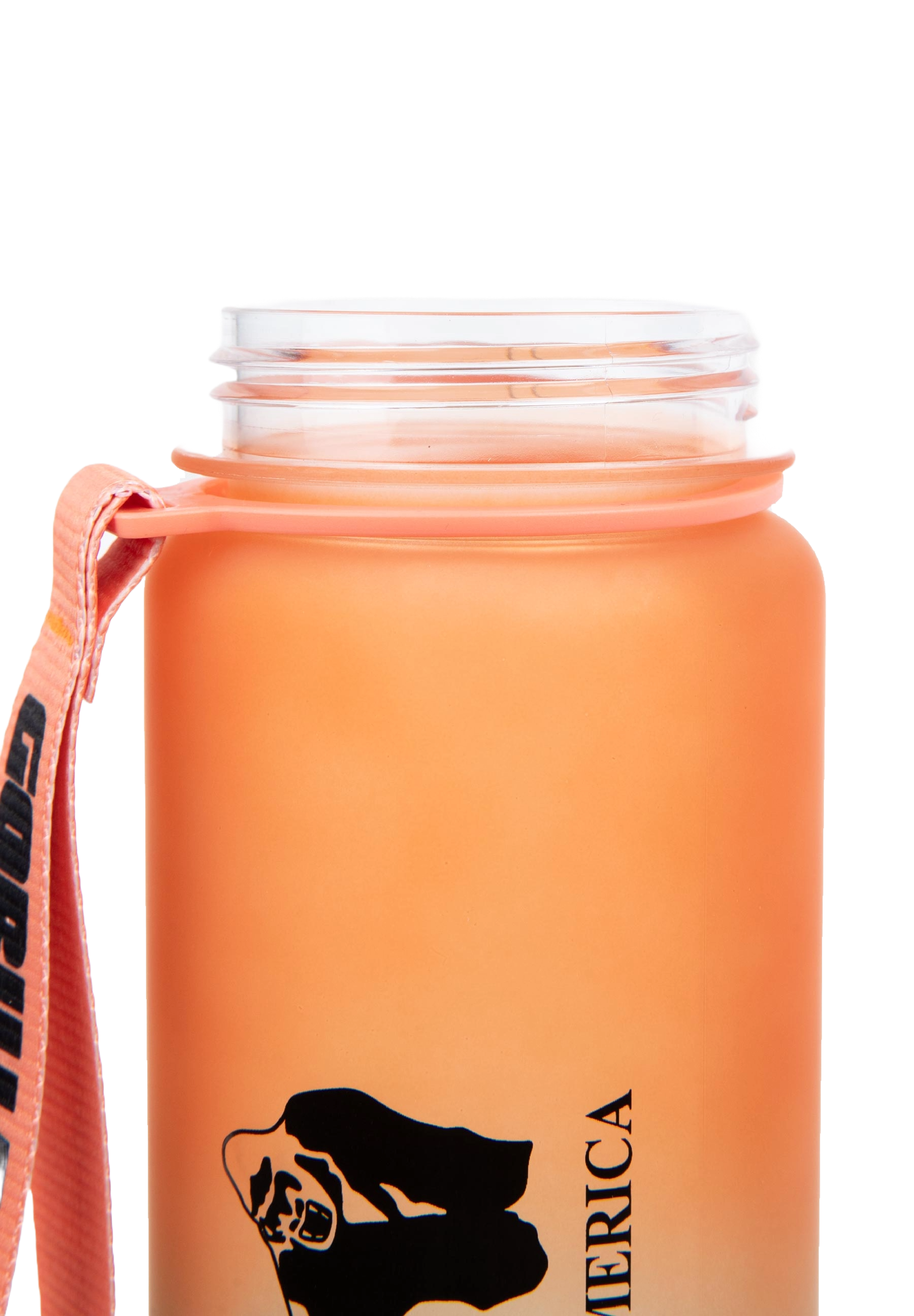Gorilla Wear Gradient Water Bottle, green/orange
