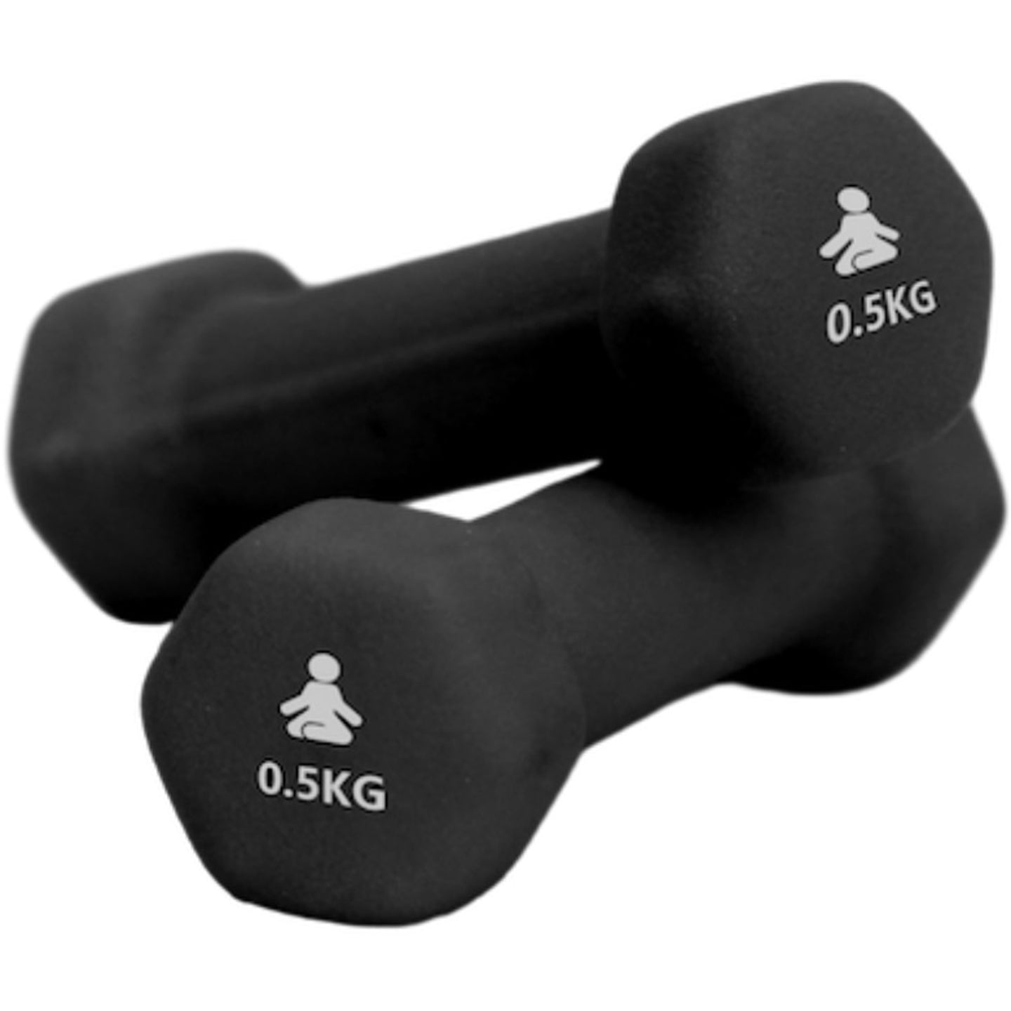 Fitpaddy Dumbbells Premium 2 x 0.5 kg