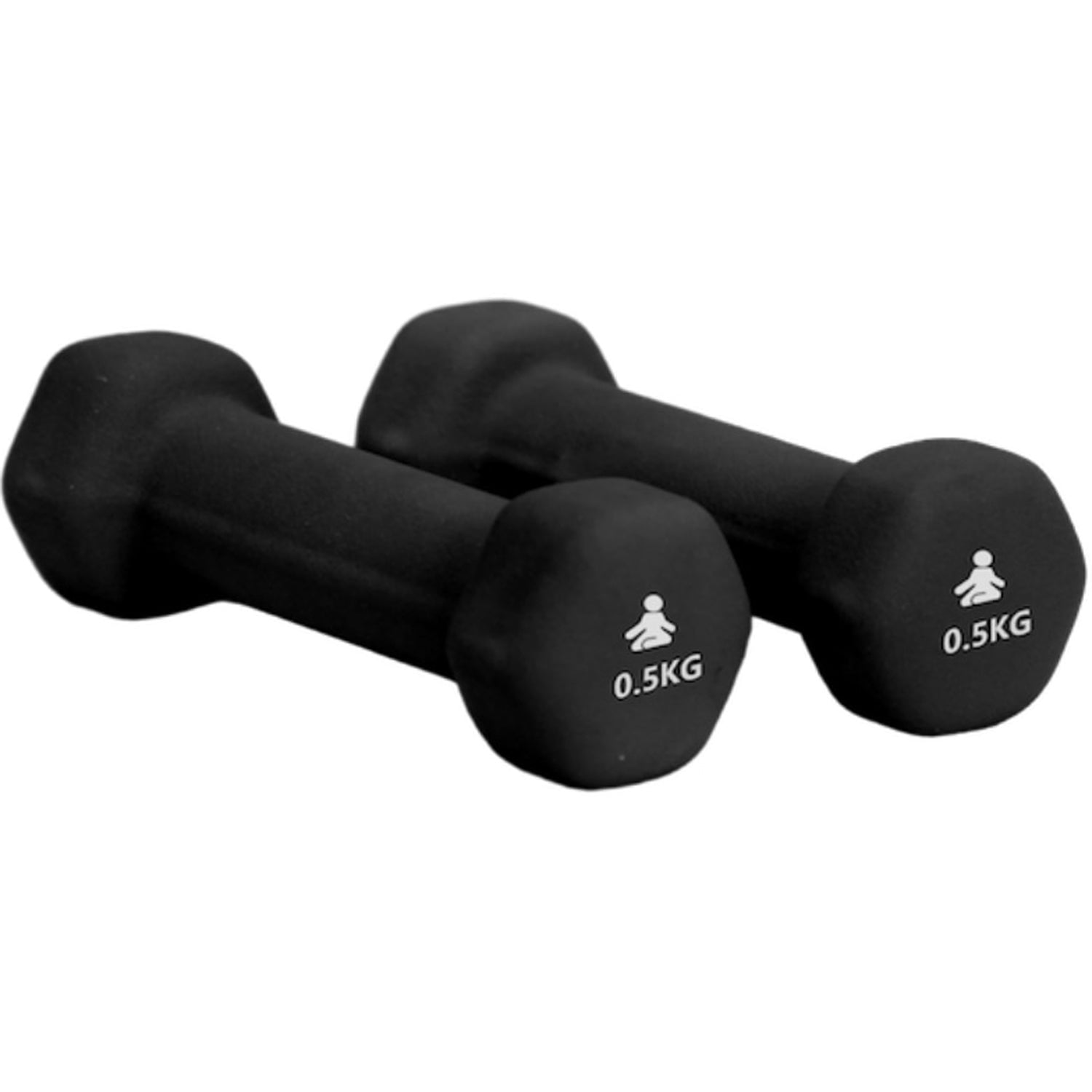 Fitpaddy Dumbbells Premium 2 x 0.5 kg