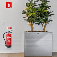 Nexa Brandsläckare Skum Röd 6L 21A 144B