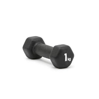Adidas Dumbbells - 1kg