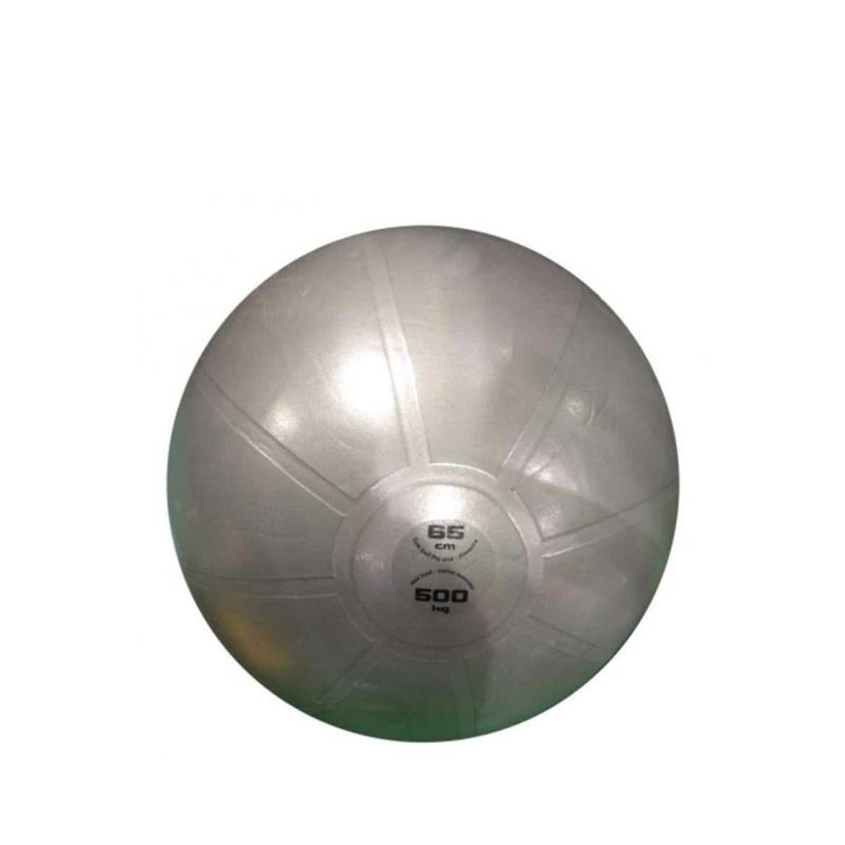 Toorx Gymball PRO ABS 65 cm