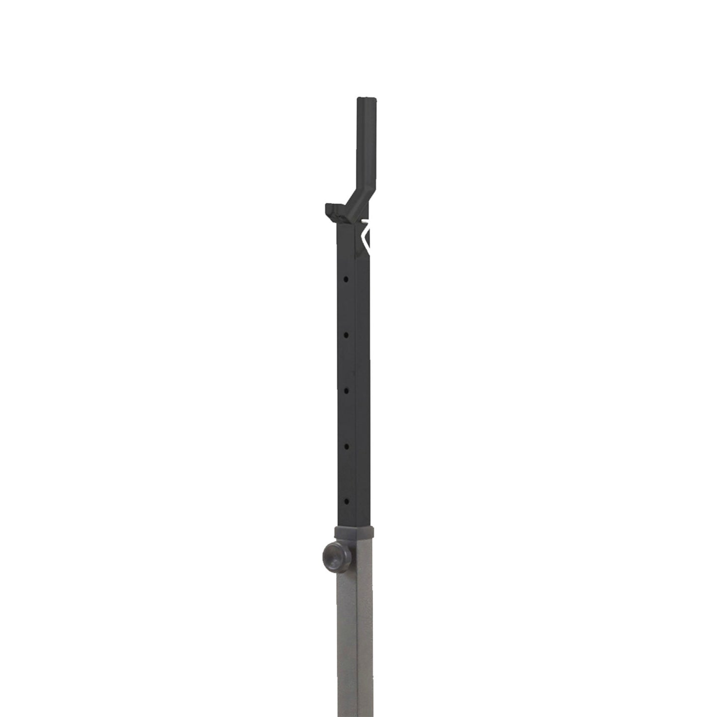 Everfit WBK 300 Everfit Knäböjsställning