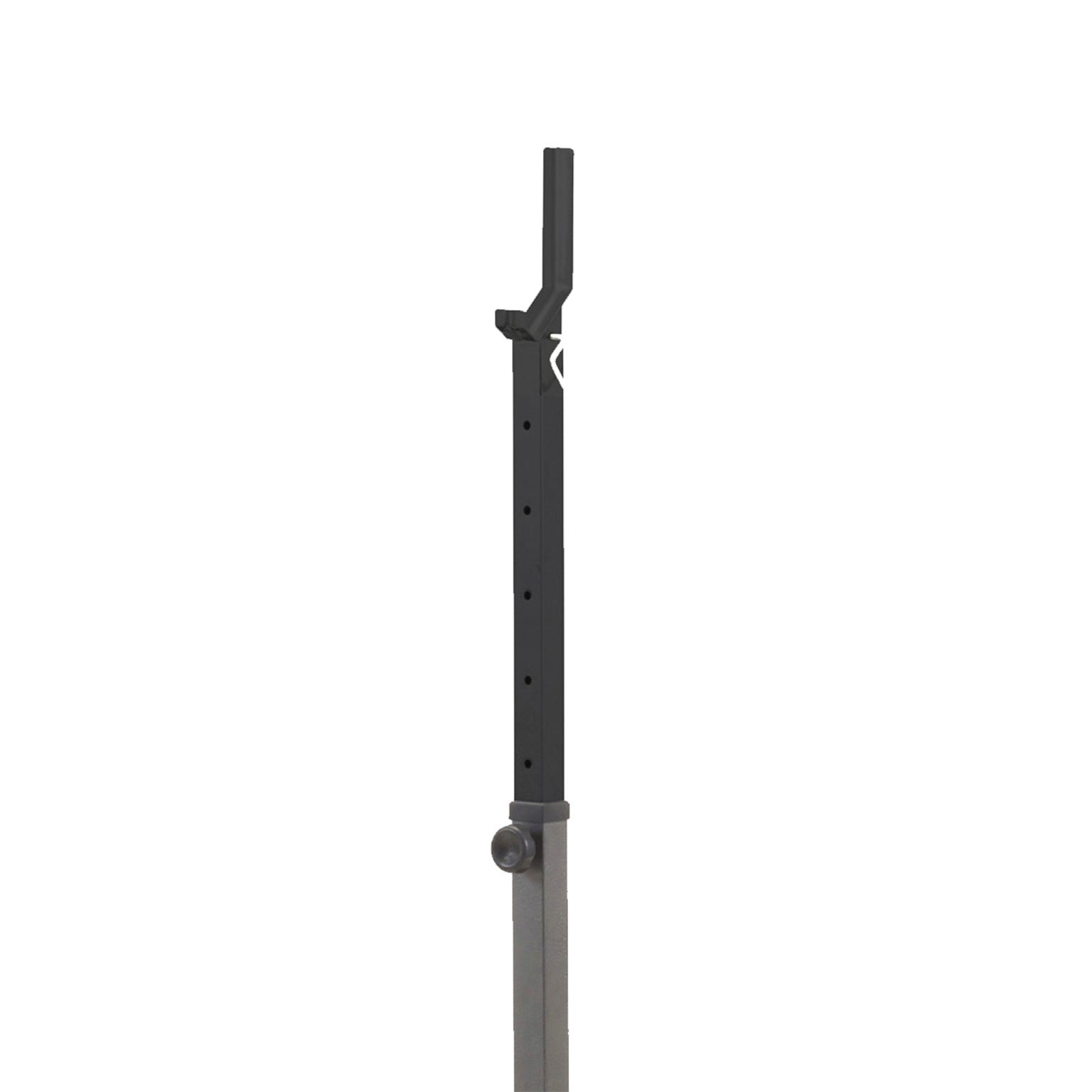 Everfit WBK 300 Everfit Knäböjsställning
