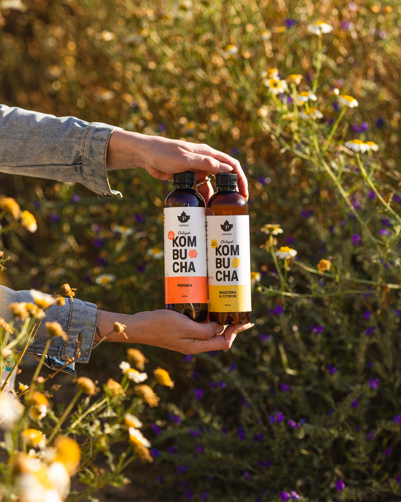 Pureness Ekologisk Kombucha Ingefära & Citron - 400 ml