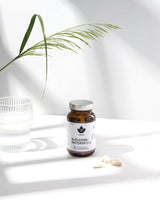 Pureness Mjölksyrabakterier 12 md - 60 kapslar