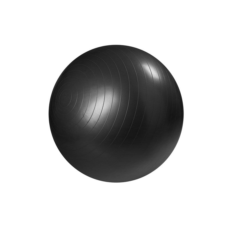 Master Fitness Gymboll 55cm svart