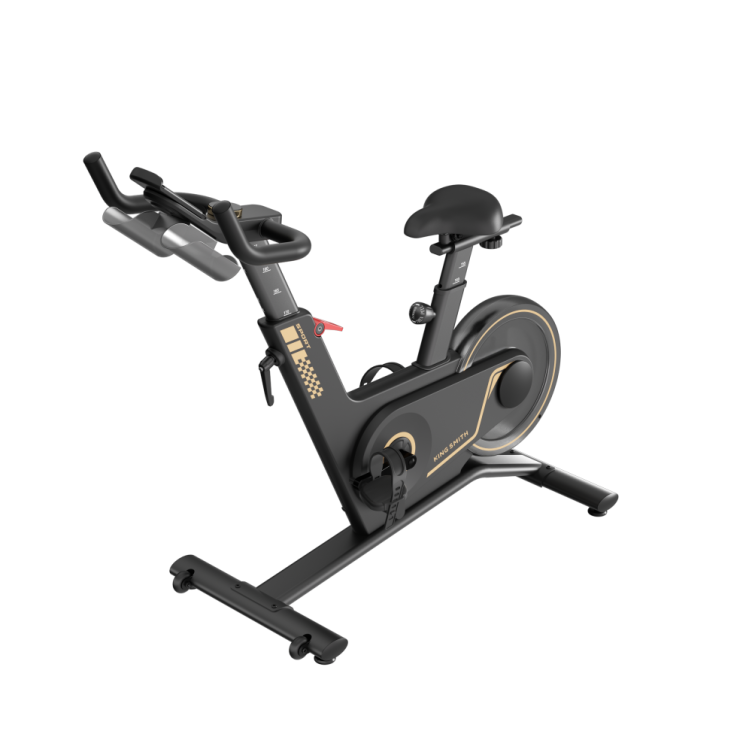 Kingsmith PB08S Spinningcykel – Kraft, precision och tyst prestanda i hemformat