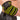 C.P Sports Elbow Wraps Pro 1,3 m, black/yellow