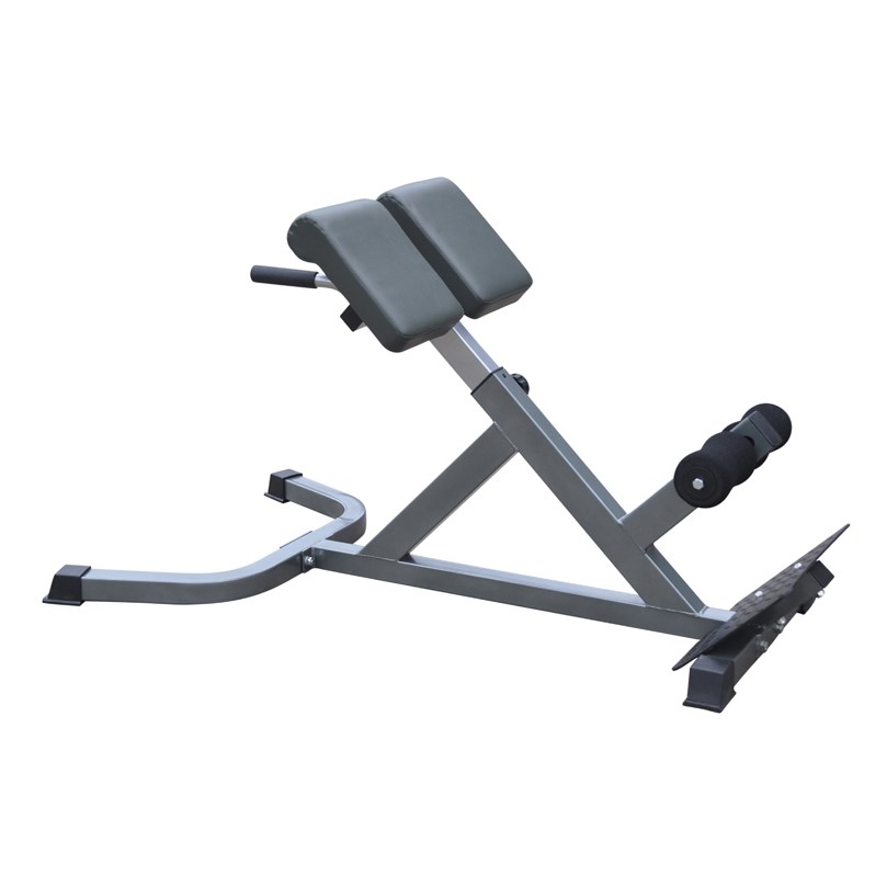 Master Fitness Back Trainer Träningsbänk Silver I - Ryggbänk