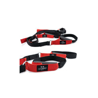 C.P. Sports Suspension Trainer