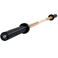 Skivstång INT. Guld 220 cm, 20kg – Titan – Premiumstång för seriös styrketräning