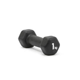 Dumbbells - 1kg