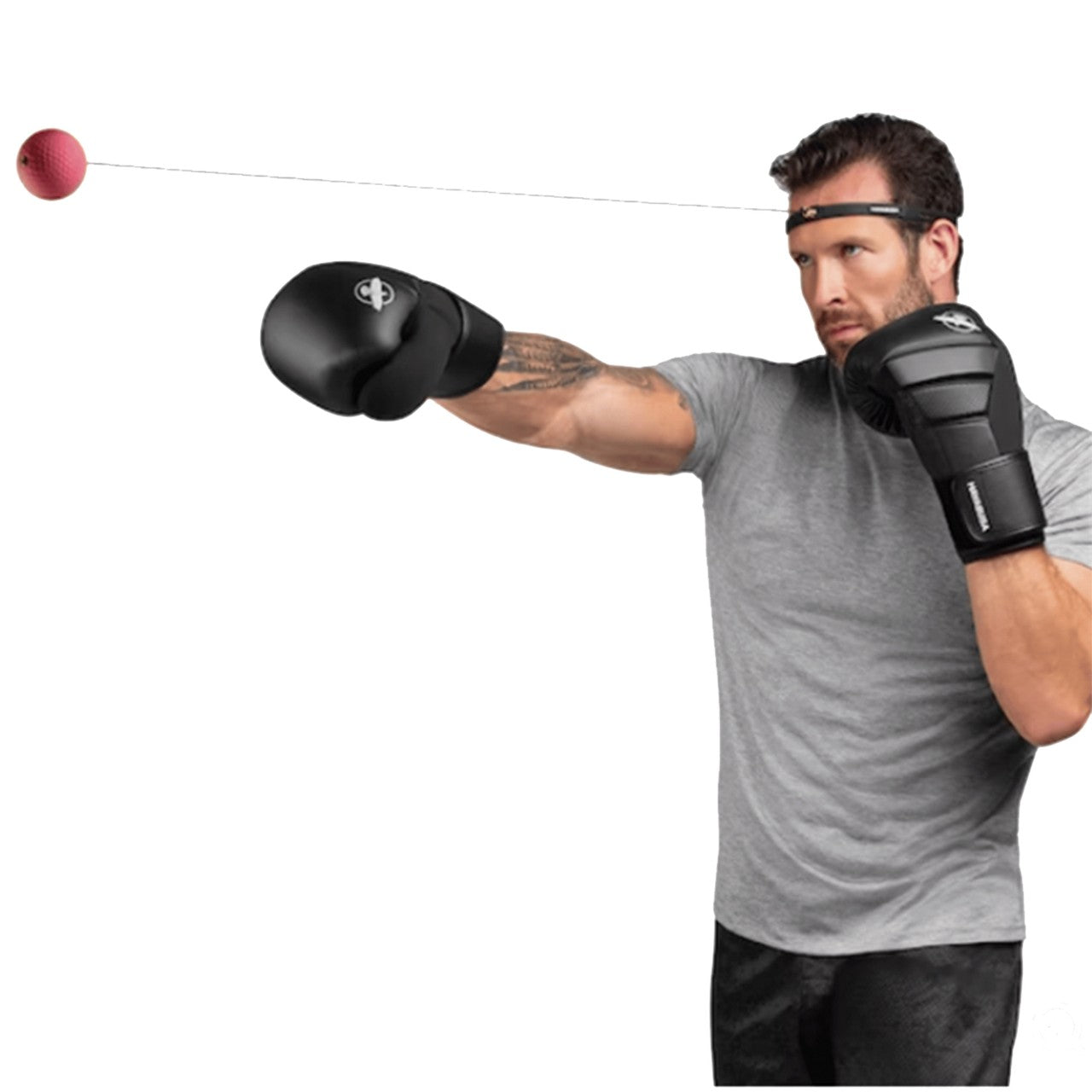 ASG Boxing Trainer
